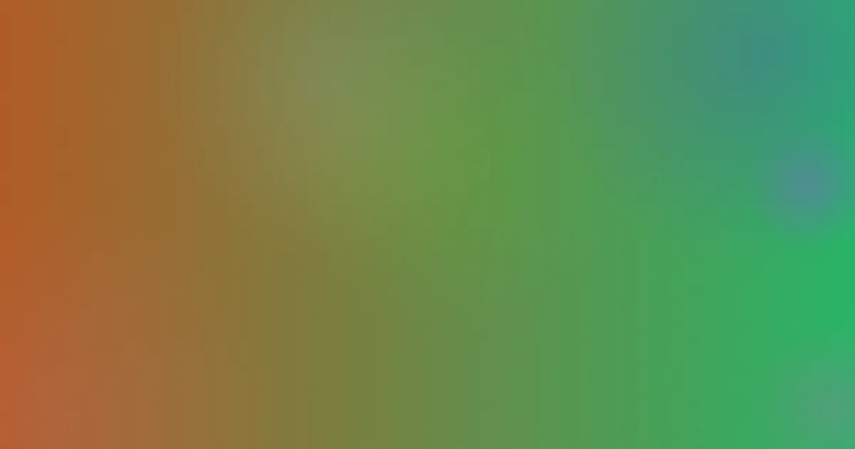 樊玲推荐：新手这样看